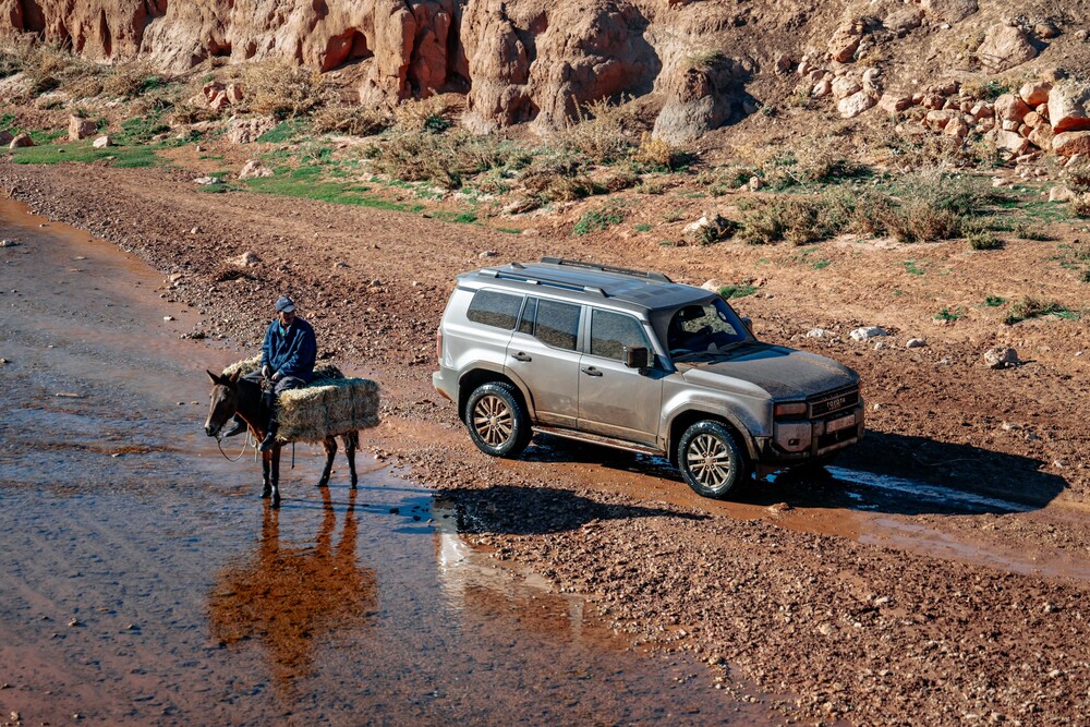 2024_New Landcruiser 250_Bronze_Dynamics_003.JPG