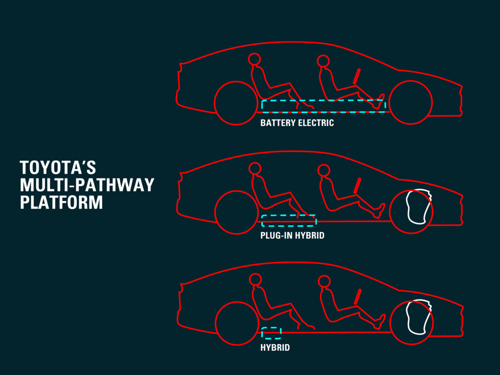 multi-pathwayplatform.png